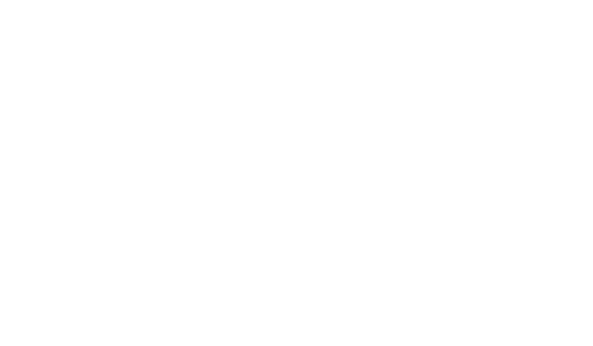 Entre Destinos logo: a globe with a plane, by André Ribeiro