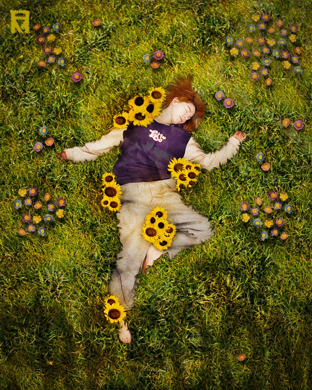 Top-down view of a person lying in the grass covered with sunflowers and surrounded by small colourful flowers
